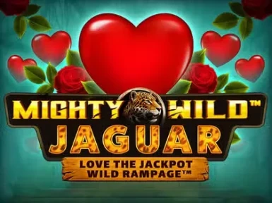 Vasy Casino screenshot